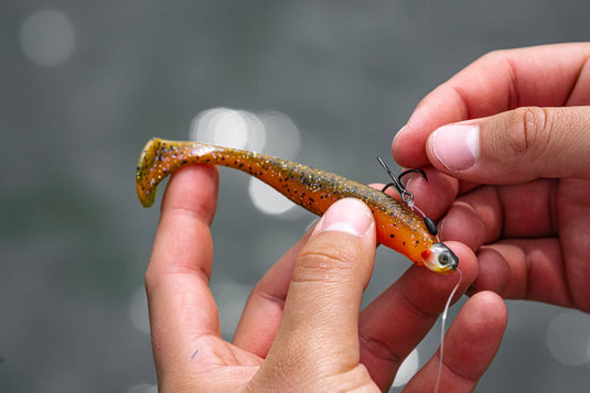 6th Sense - Treble Heads (Perch Gill)