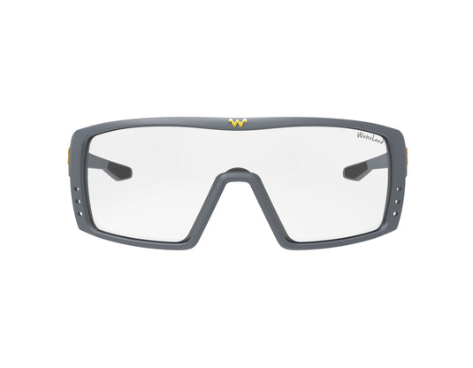 Waterland Fishing Sunglasses - Morning Runs (Bedfisher)