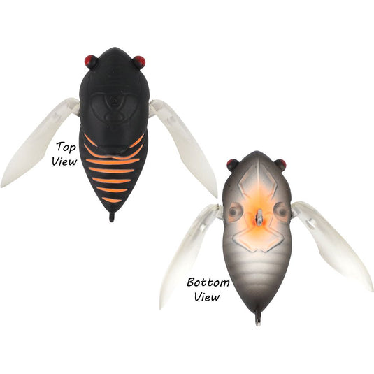 Atomic Hardz Cicada 35mm