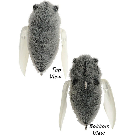 Atomic Hardz Cicada 35mm