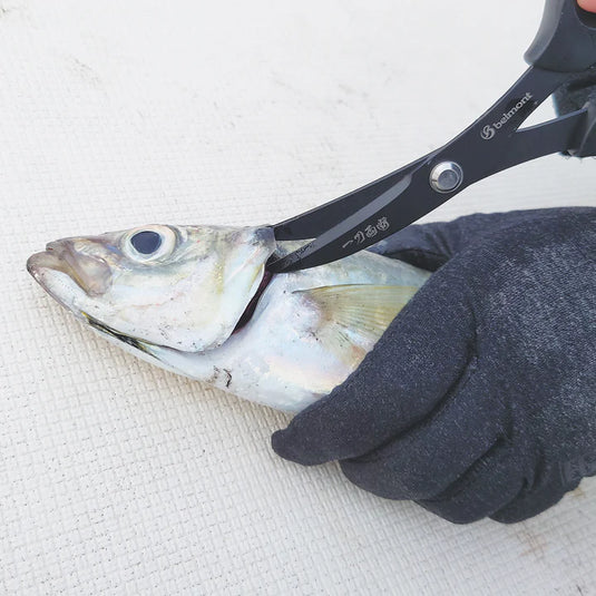 Belmont Ikejime scissors