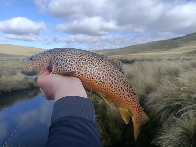 Freshwater Trout Fishing: Eucumbene Lake & River - Day 2