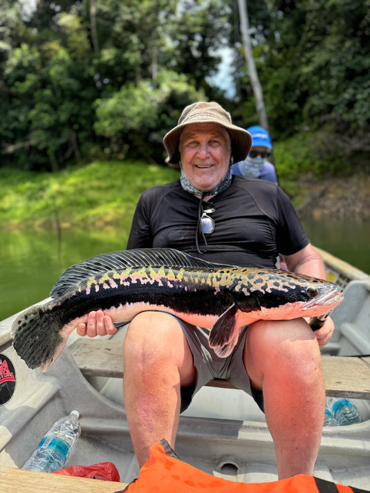 Fishing Adventure in the Heart of Belum Rainforest: A Giant Snakehead Experience