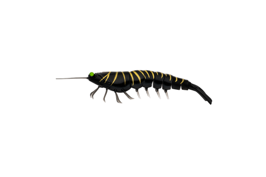 Irukandji Megaprawn 100mm (4")