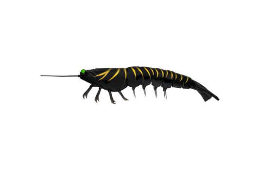Irukandji Megaprawn 125mm (5")