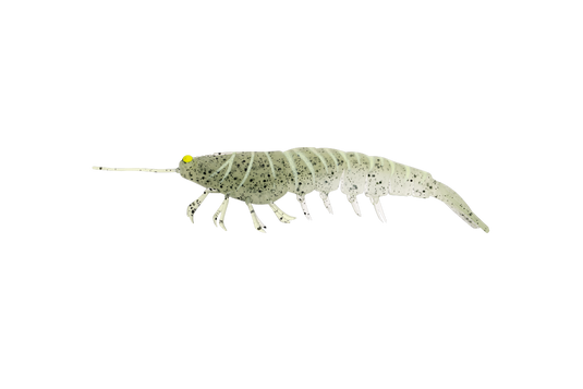 Irukandji Megaprawn 125mm (5")