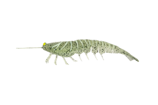 Irukandji Megaprawn 165mm (6.5")