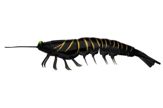 Irukandji Megaprawn 200mm (8")
