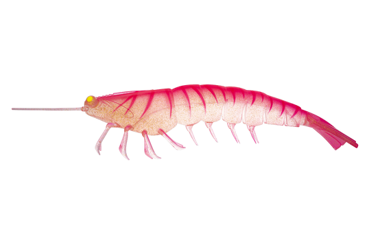 Irukandji Megaprawn 200mm (8")