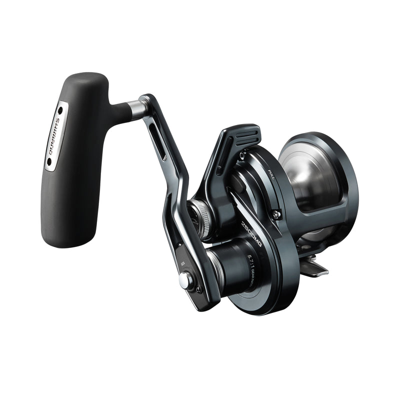 Load image into Gallery viewer, Shimano 24 Ocea Jigger LD 2500HG
