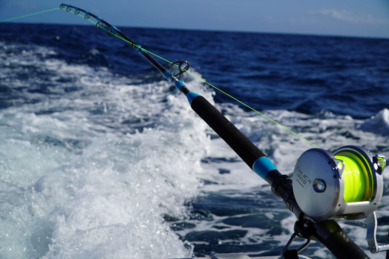 Load image into Gallery viewer, Shimano Talica 6' Bent Butt Game Rod 50-80lb
