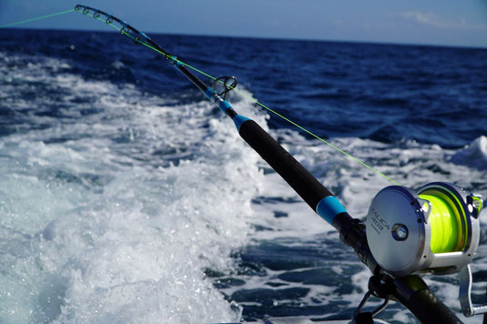 Shimano Talica 6' Bent Butt Game Rod 50-80lb