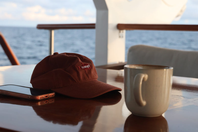 Load image into Gallery viewer, West Coast Poppers GT Dad Hat (Clay)
