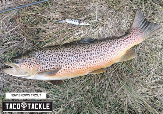 Tackle House Bitstream Jointed