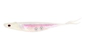 Load image into Gallery viewer, Nomad Cobra Shad 3.75&quot; Adjusta-Ball
