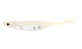 Load image into Gallery viewer, Nomad Cobra Shad 3.75&quot; Adjusta-Ball
