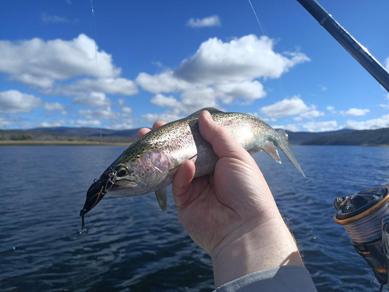 Load image into Gallery viewer, Taco - River and Lake Trout
