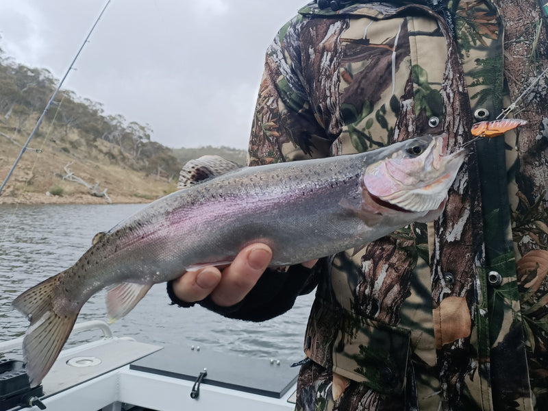 Load image into Gallery viewer, Taco - River and Lake Trout
