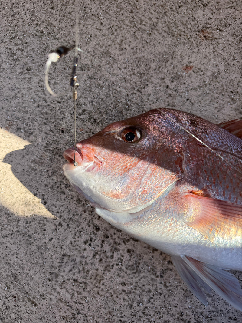 Load image into Gallery viewer, GameOver Tooth Proof Rig - Double Paternoster - Carbon Circle Hooks

