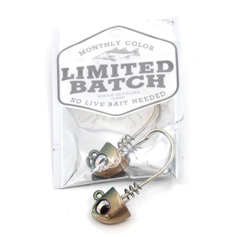 Load image into Gallery viewer, NLBN 5&quot; Jig Heads
