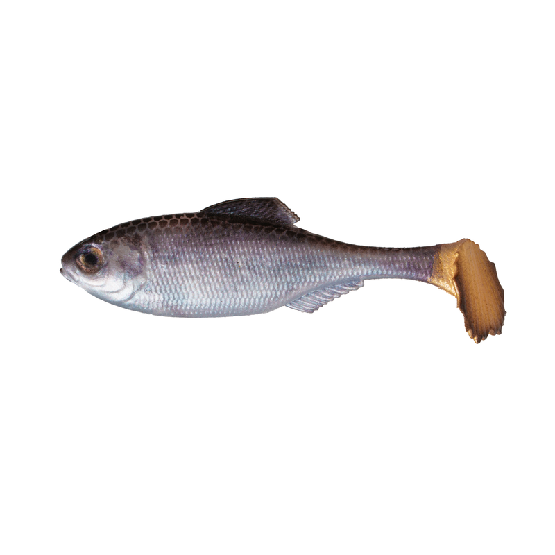 Load image into Gallery viewer, 6th Sense - Panorama Swimbait Un-rigged Series 3.5&quot;
