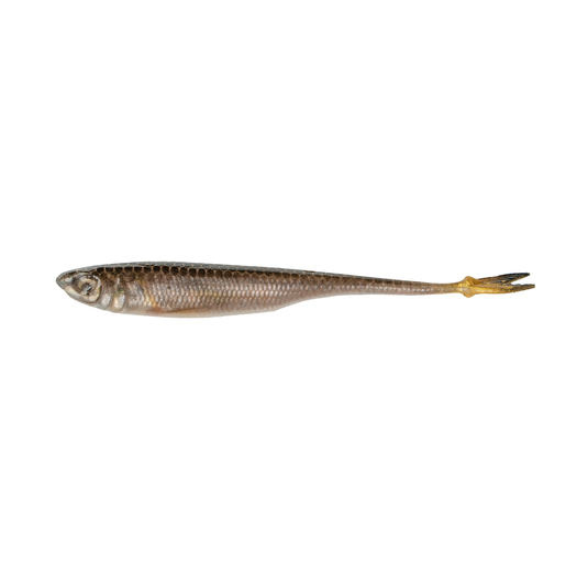 6th Sense - Strobe Minnow 3.2"