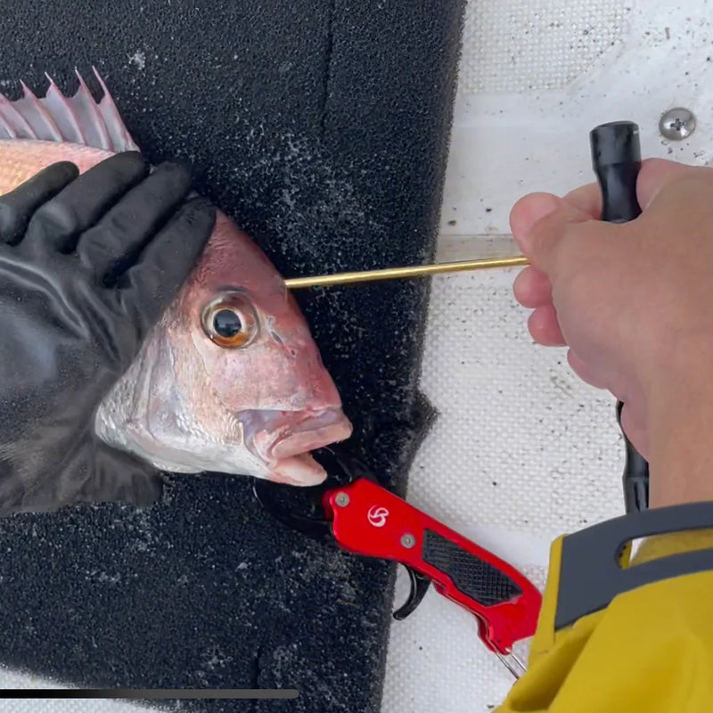 Load image into Gallery viewer, Belmont Fish Pick MG (Black)
