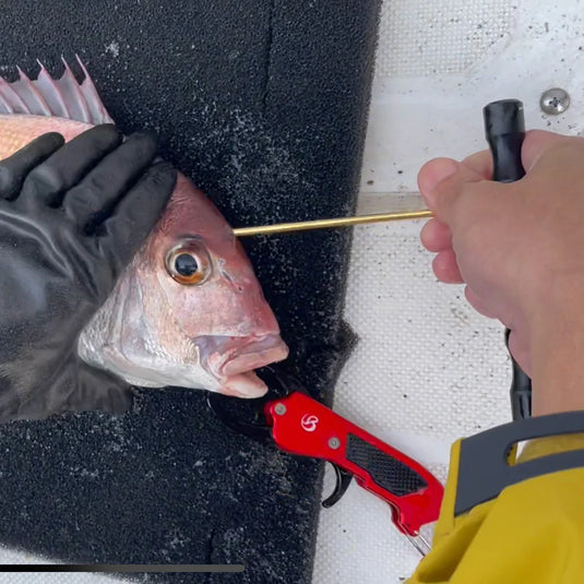 Belmont Fish Pick MG (Black)