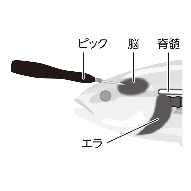 Load image into Gallery viewer, Belmont Ikejime Pick Long
