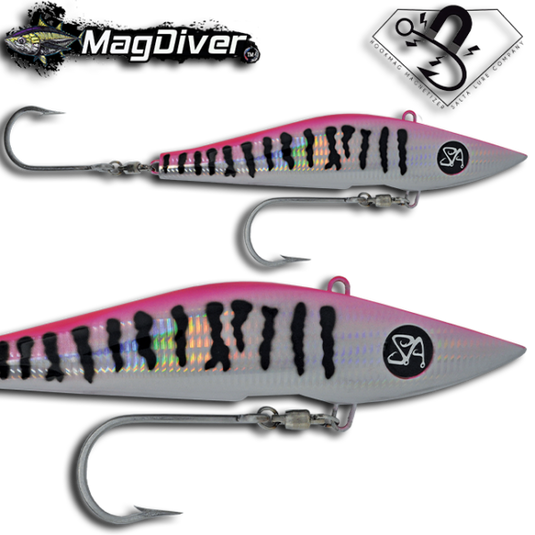 Salta MagDiver