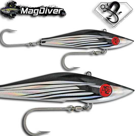 Salta MagDiver