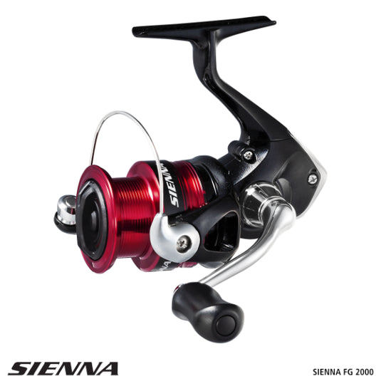 Shimano Sienna FG