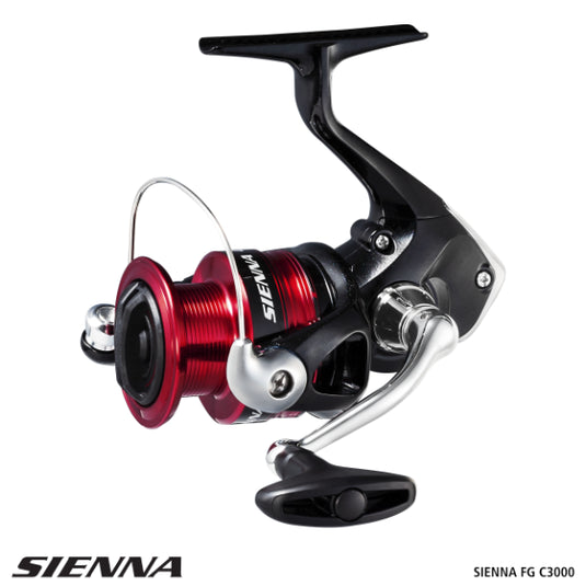 Shimano Sienna FG