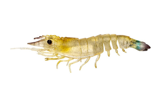Nomad Sumo Shrimp Unrigged 5"