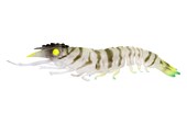 Load image into Gallery viewer, Nomad Sumo Shrimp Unrigged 4&quot;
