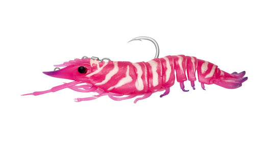 Nomad Sumo Shrimp Pre Rigged 4"