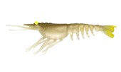 Load image into Gallery viewer, Nomad Switcher Shrimp 2.3&quot;
