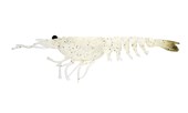Load image into Gallery viewer, Nomad Switcher Shrimp 2.3&quot;
