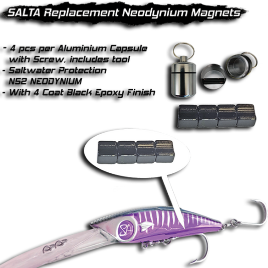 Salta Replacement Neodymium Magnets