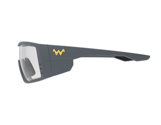 Waterland Fishing Sunglasses - Morning Runs (Bedfisher)
