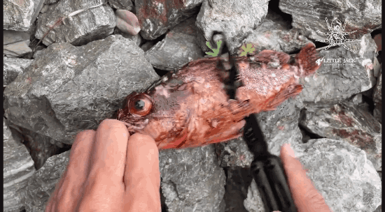 Load image into Gallery viewer, Little Jack - Butterfly Fishing Tool
