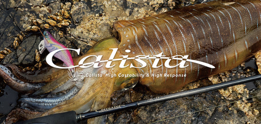 Yamaga Calista 86M/PF