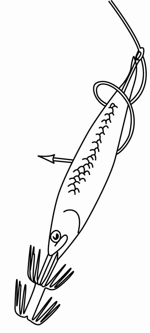 Gillies Metal Squid Jig (170mm)