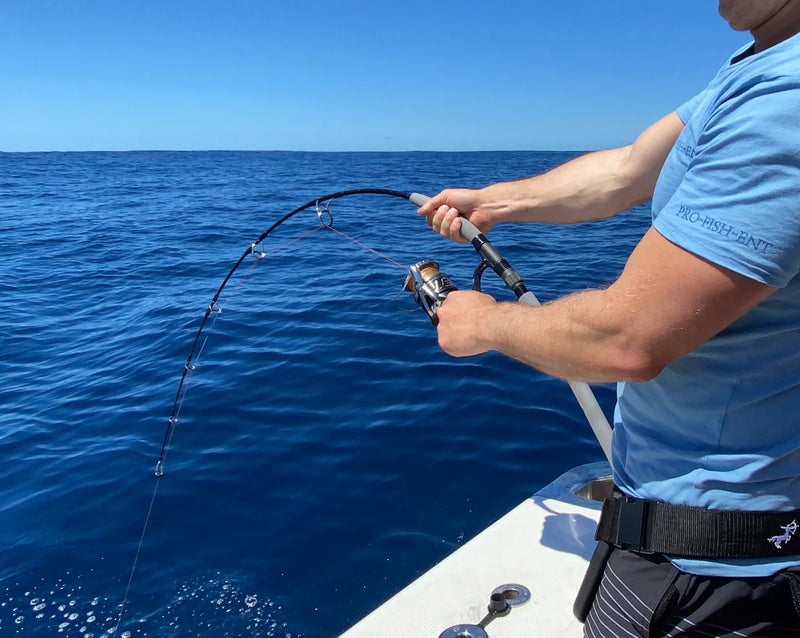 Load image into Gallery viewer, Trophy Hunter Jig Rods (Spin &amp; Overhead)
