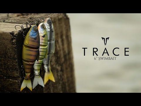 Load and play video in Gallery viewer, 6th Sense - Trace 6&quot;
