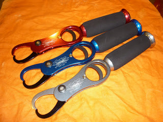 Maxel Pro Fish Grip & Scale