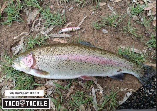 Tackle House Bitstream Jointed