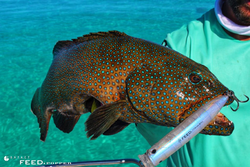 Load image into Gallery viewer, Tackle House Contact Feed Popper 175mm
