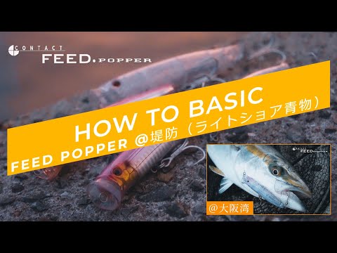 Load and play video in Gallery viewer, Tackle House Contact Feed Popper 175mm
